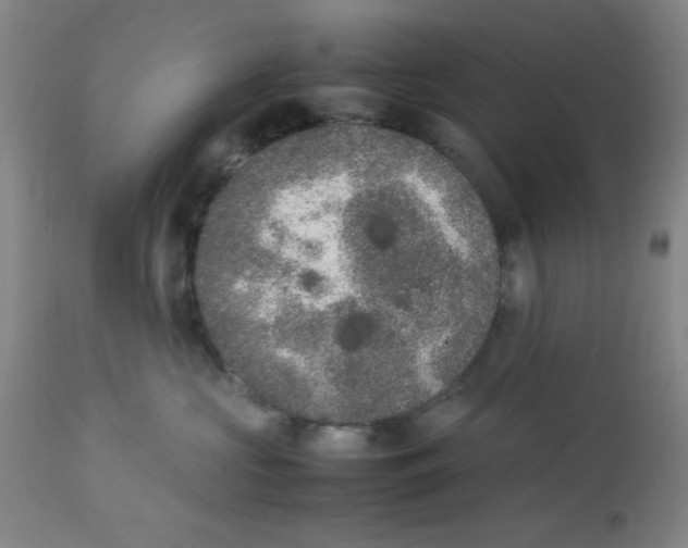 X0000112850573200909181739