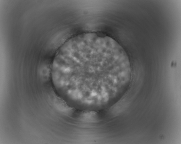 X0000112850576200909181739