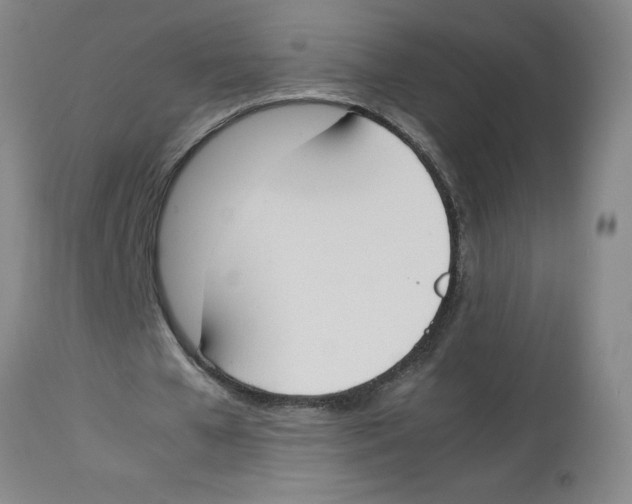 X0000112850577200909181738