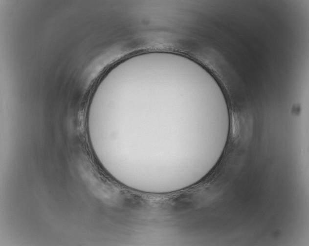 X0000112850579200909181738