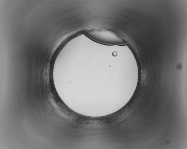 X0000112850580200909181738