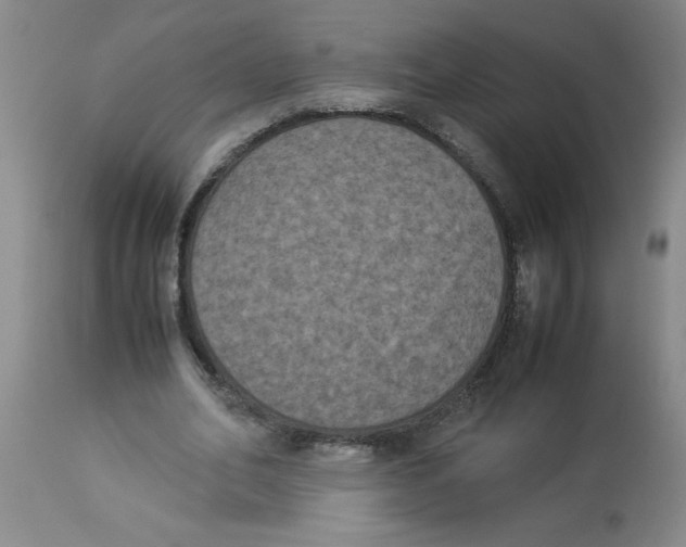 X0000112850582200909181738