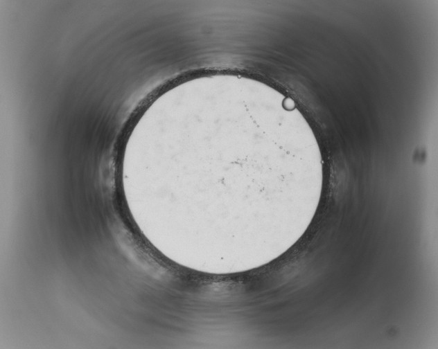 X0000112850584200909181738