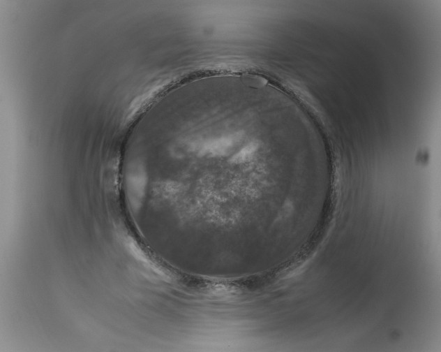 X0000112850585200909181738