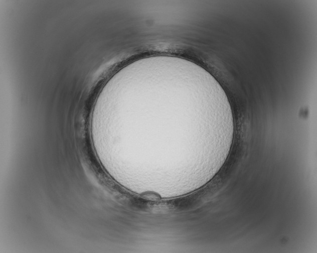 X0000112850587200909181738