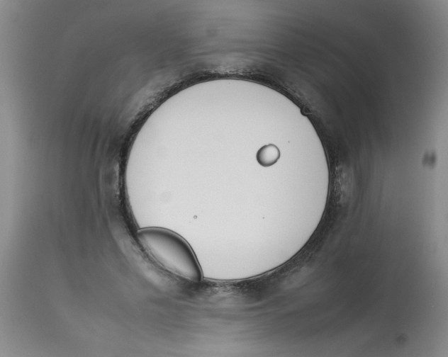 X0000112850589200909181738