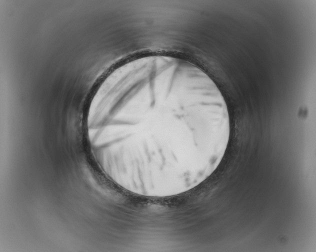 X0000112850592200909181738