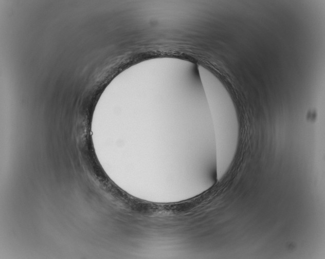 X0000112850593200909181738