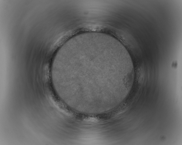 X0000112850594200909181738