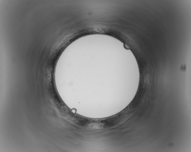 X0000112850595200909181738