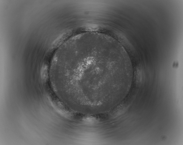 X0000112850598200909181738