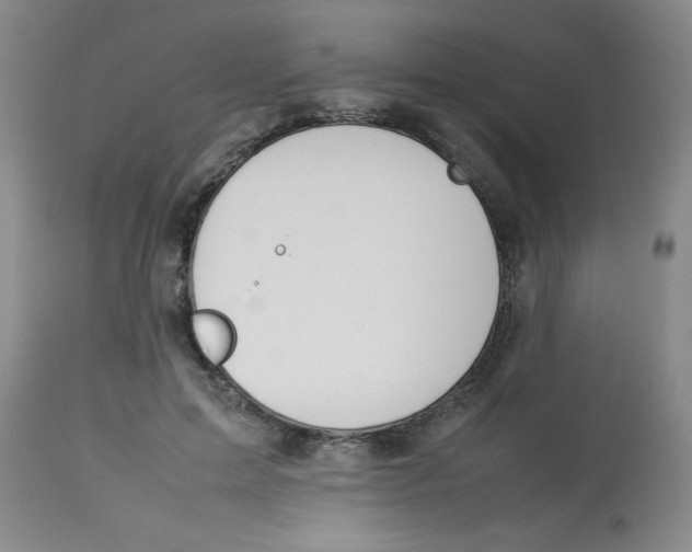 X0000112850599200909181738