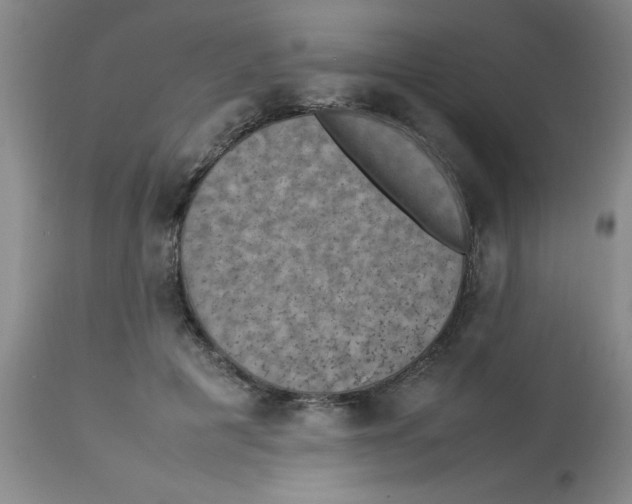 X0000112850601200909181738