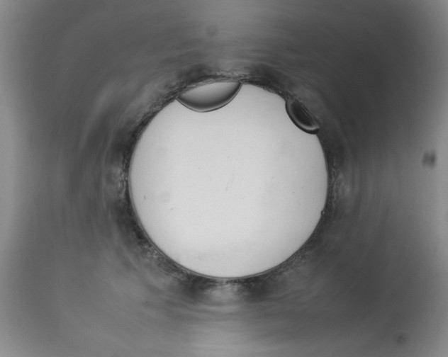 X0000112850609200909181738