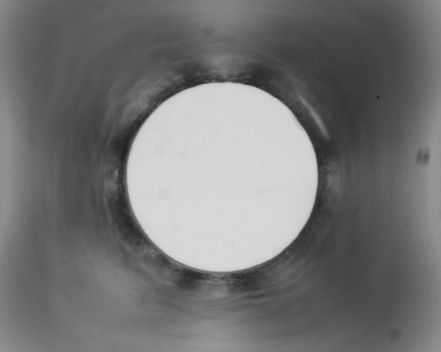 X0000112850615200909181738