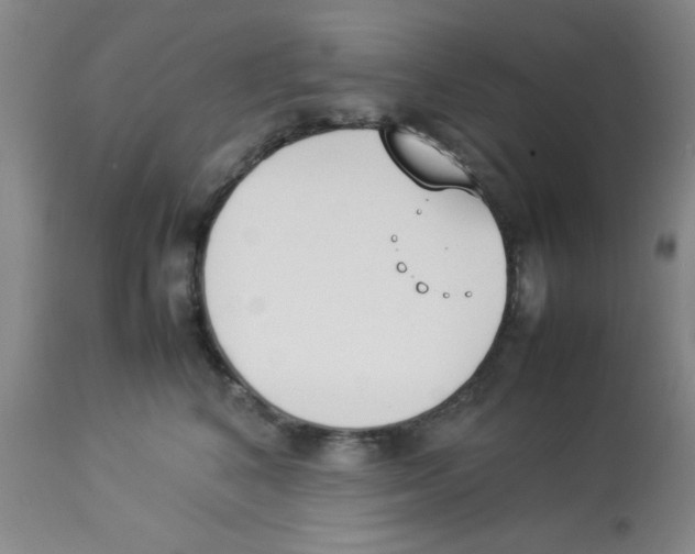 X0000112850616200909181738