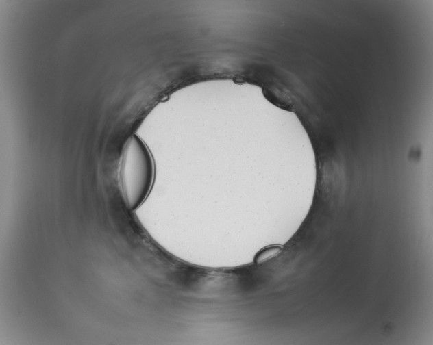 X0000112850617200909181738