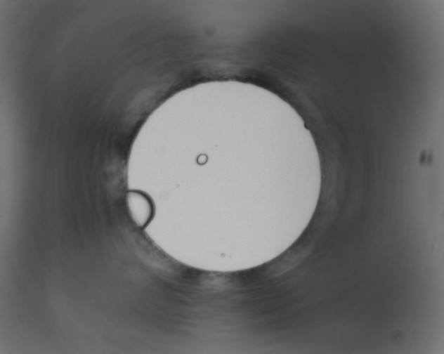 X0000112850624200909181738