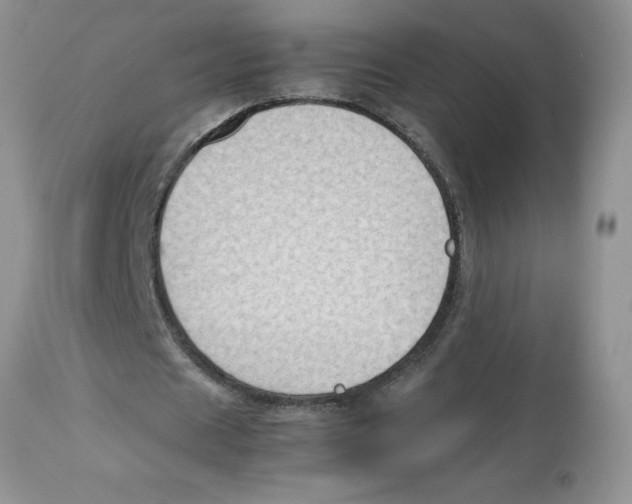 X0000112850625200909181737