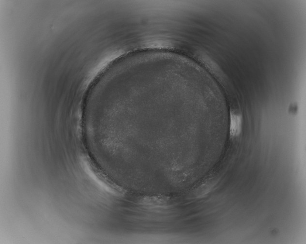 X0000112850627200909181737