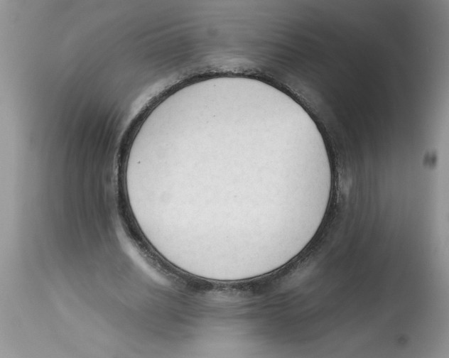 X0000112850630200909181737