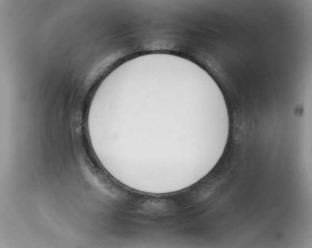 X0000112850631200909181737