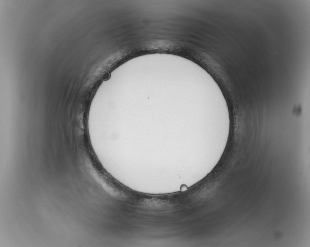 X0000112850633200909181737