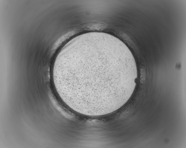 X0000112850634200909181737