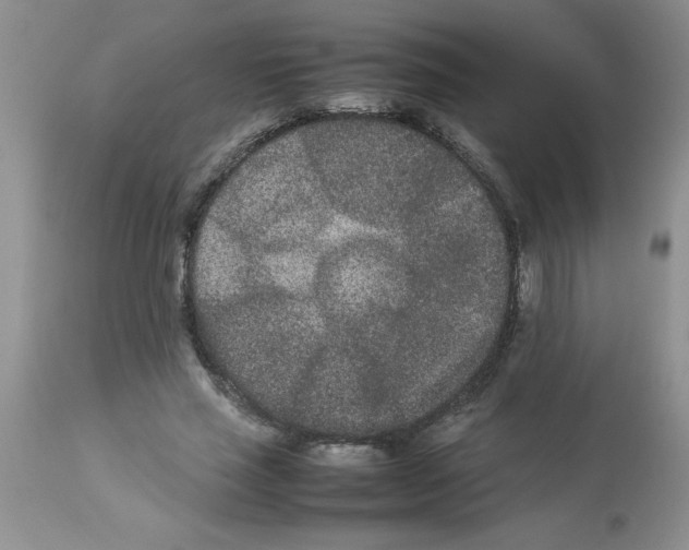 X0000112850637200909181737