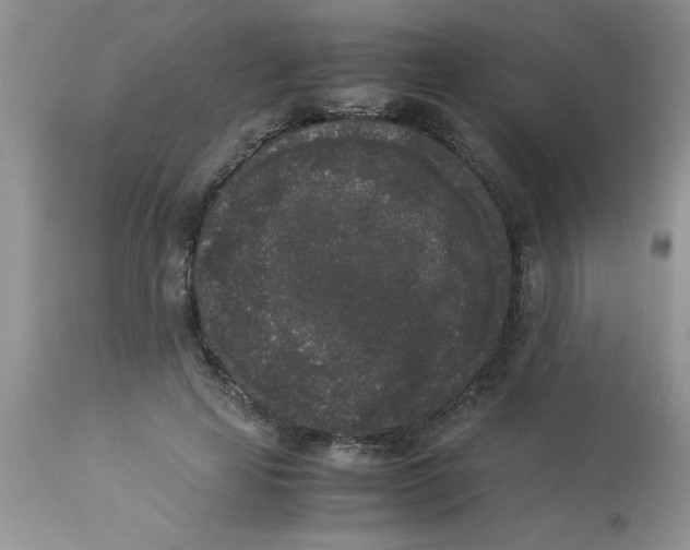 X0000112850641200909181737