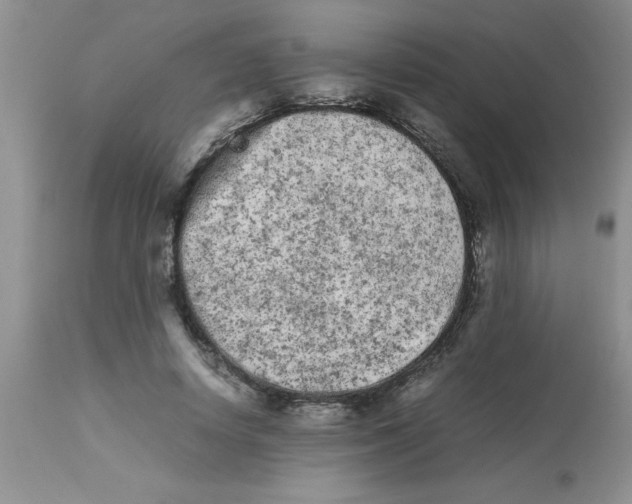 X0000112850642200909181737