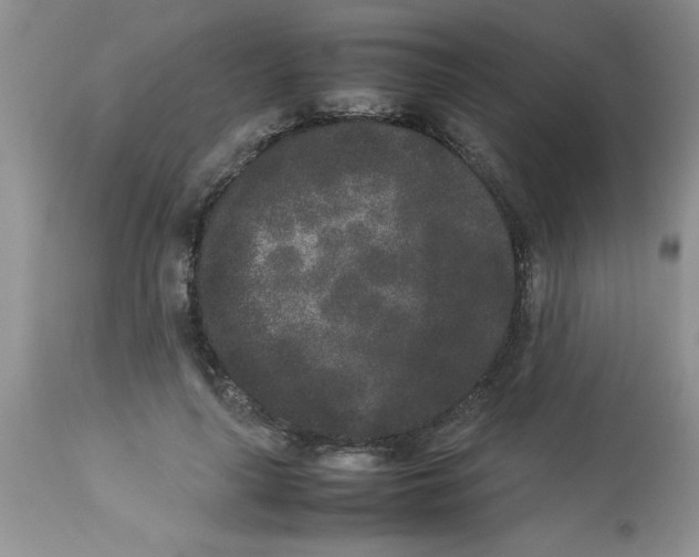 X0000112850643200909181737