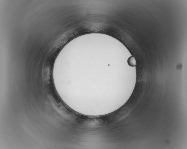 X0000112850646200909181737