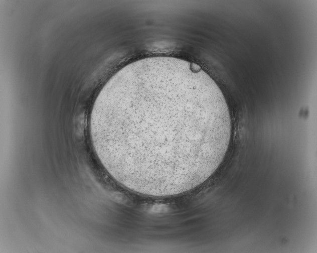 X0000112850647200909181737