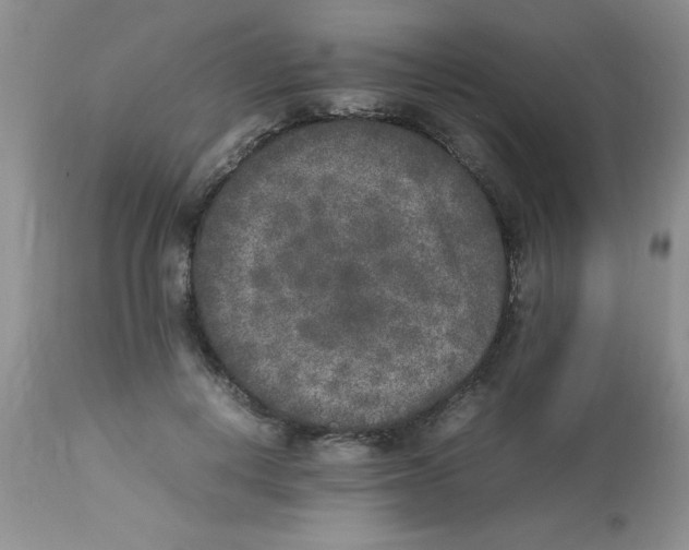 X0000112850648200909181737