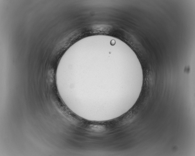 X0000112850649200909181737