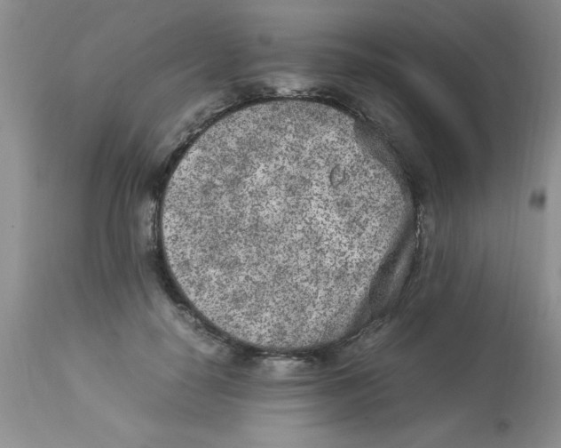 X0000112850650200909181737