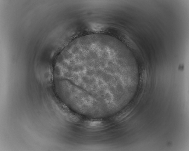 X0000112850651200909181737