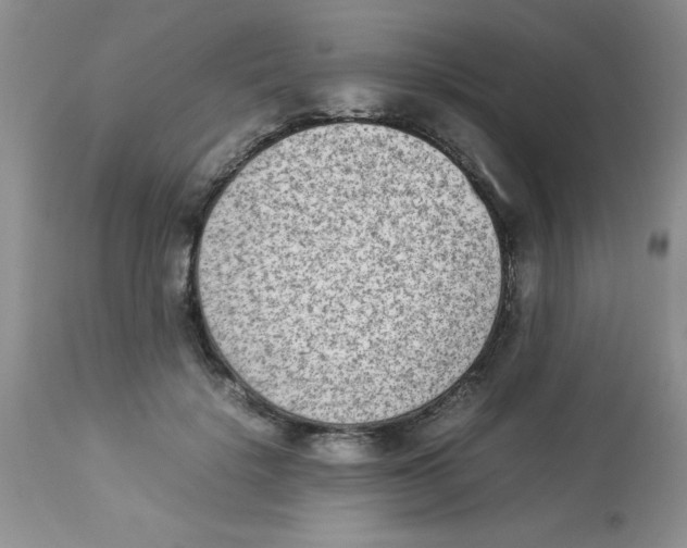 X0000112850652200909181737