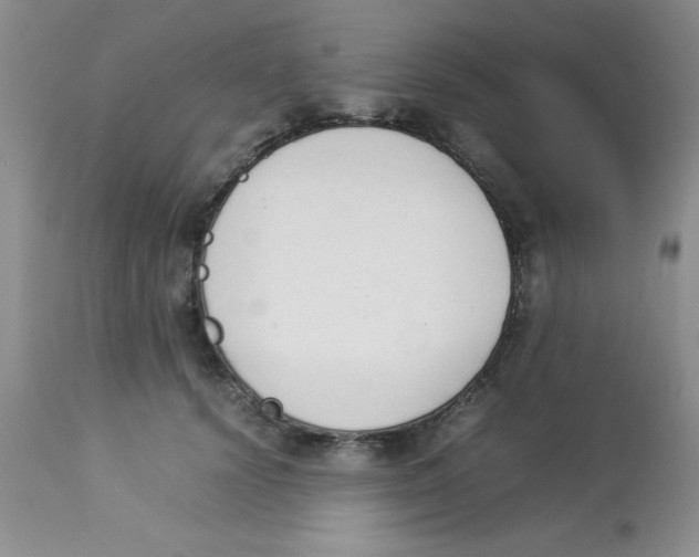 X0000112850656200909181737