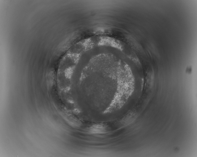 X0000112850659200909181737