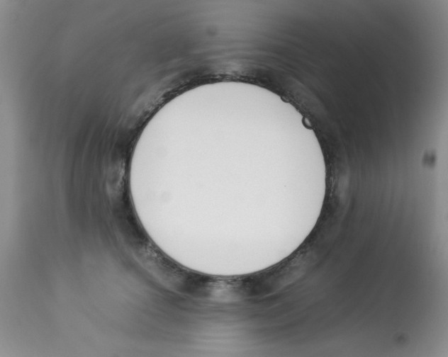 X0000112850660200909181737