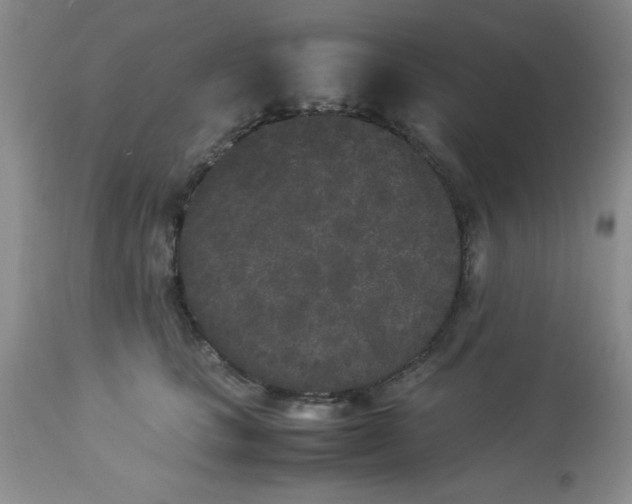 X0000112850661200909181737