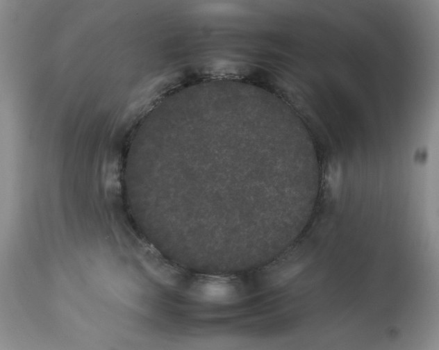 X0000112850663200909181737