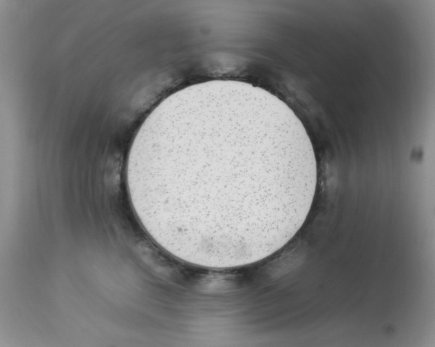 X0000112850664200909181737