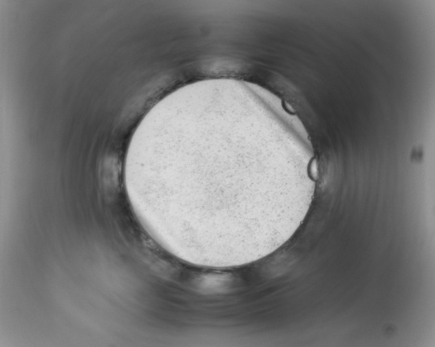 X0000112850669200909181738