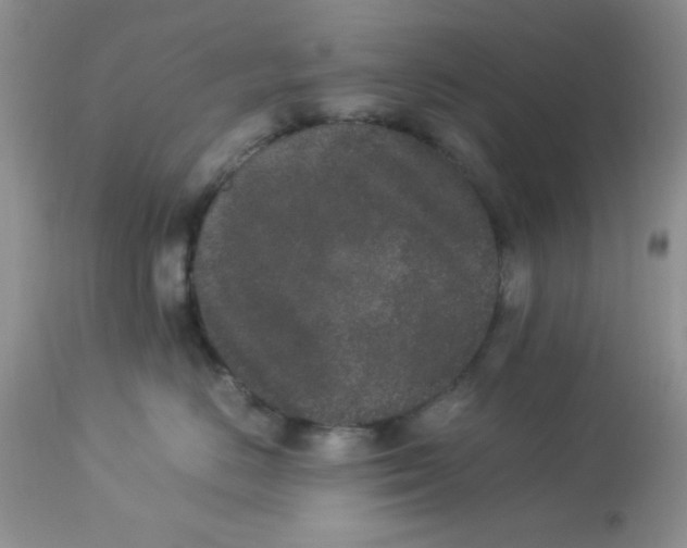 X0000112850670200909181738