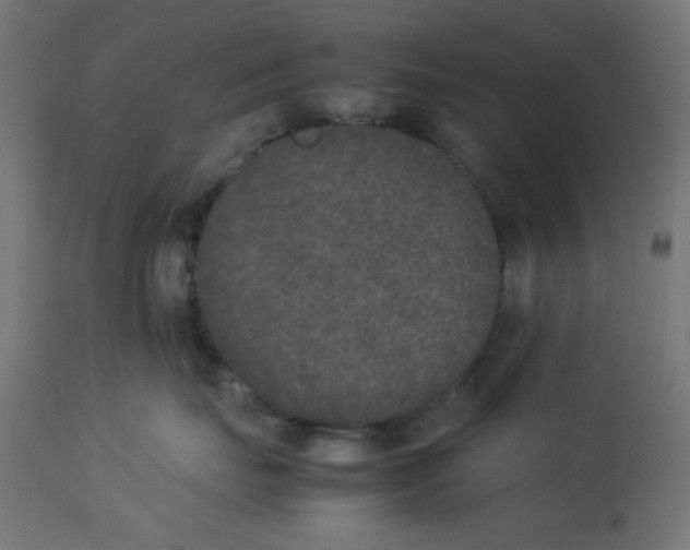 X0000112850671200909181738