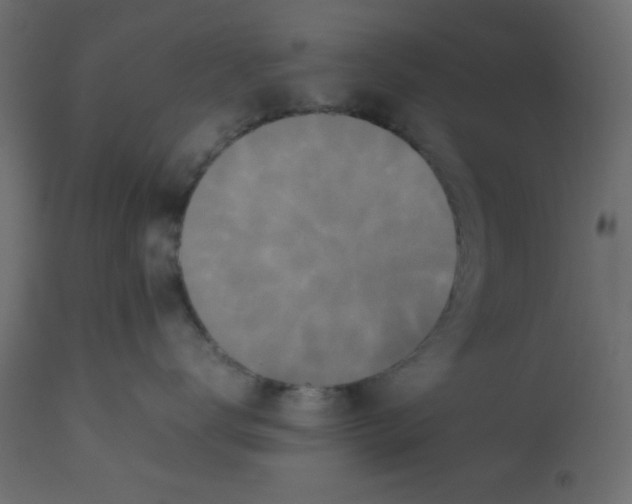 X0000112850672200909181738