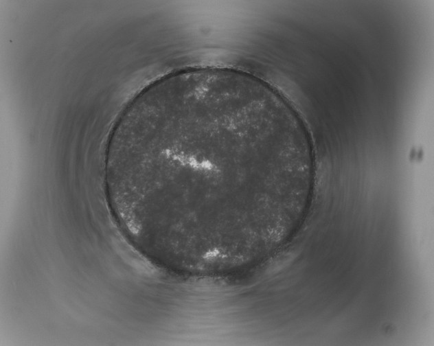 X0000112850673200909181737